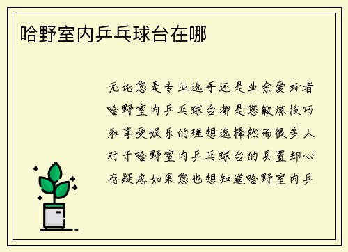 哈野室内乒乓球台在哪